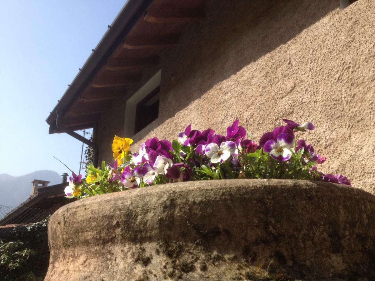 La Tana Del Ghiro Bed & Breakfast Porto Valtravaglia Exterior foto